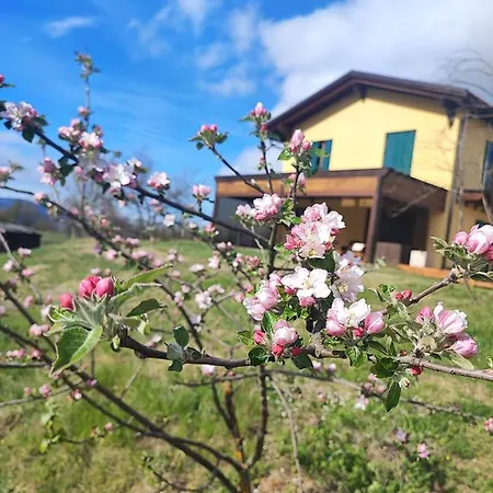 Casale Del Valla Agri Naturista