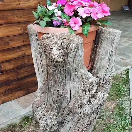 Casale Del Valla Agri Naturista 3* Spigno Monferrato