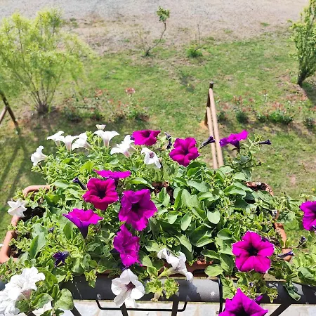 B&B Casale Del Valla Agri Naturista *