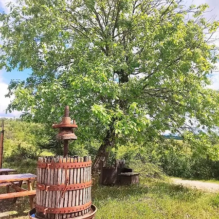 Bed & Breakfast Casale Del Valla Agri Naturista Spigno Monferrato
